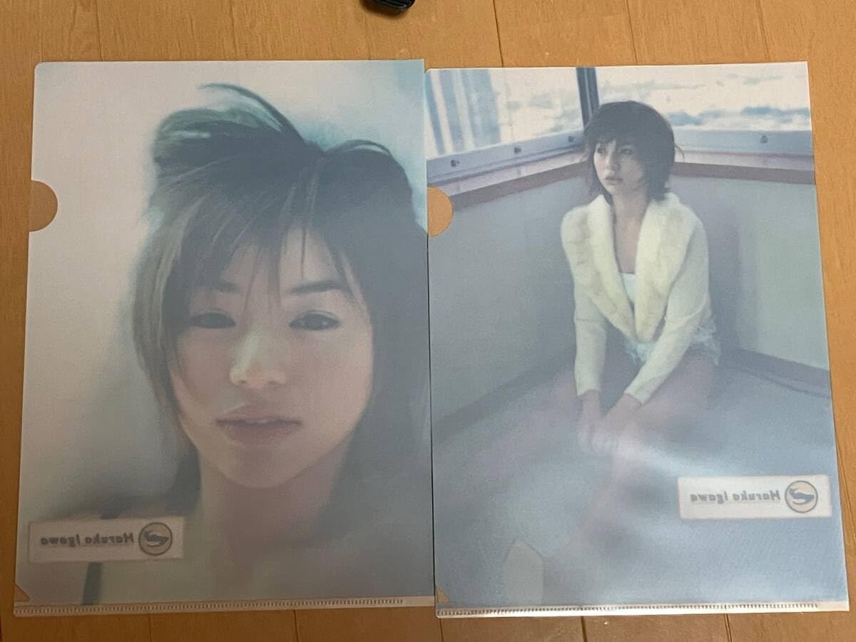 井川遥 直筆サインカード グラビアアイドル 女優 タレント 非売品 トレカ 井川遥 直筆サインカード グラビアアイドル 女優 タレント